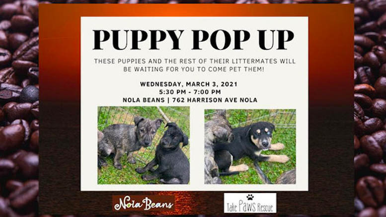 Take Paws Rescue Puppy Pop Up March 3
